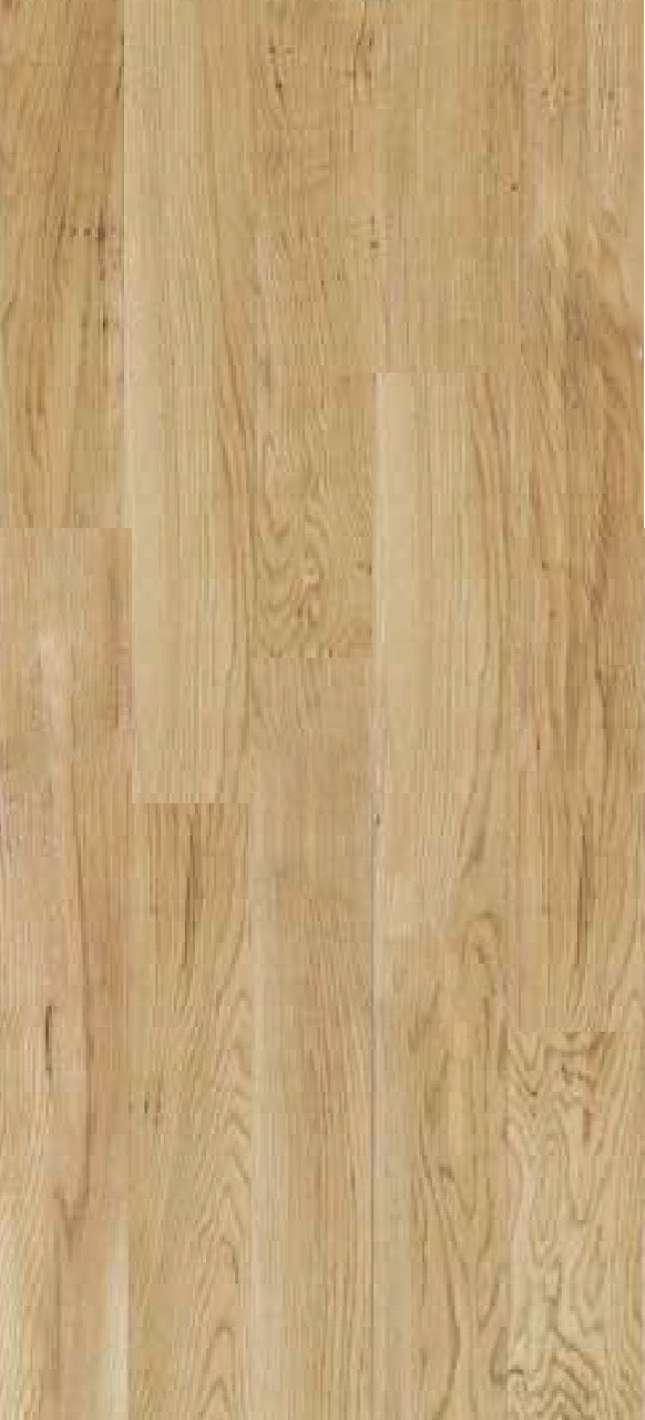 ナラスポルテッド